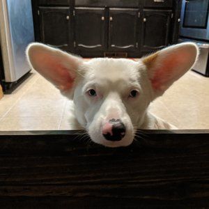 Meet your Posher, Jill J.